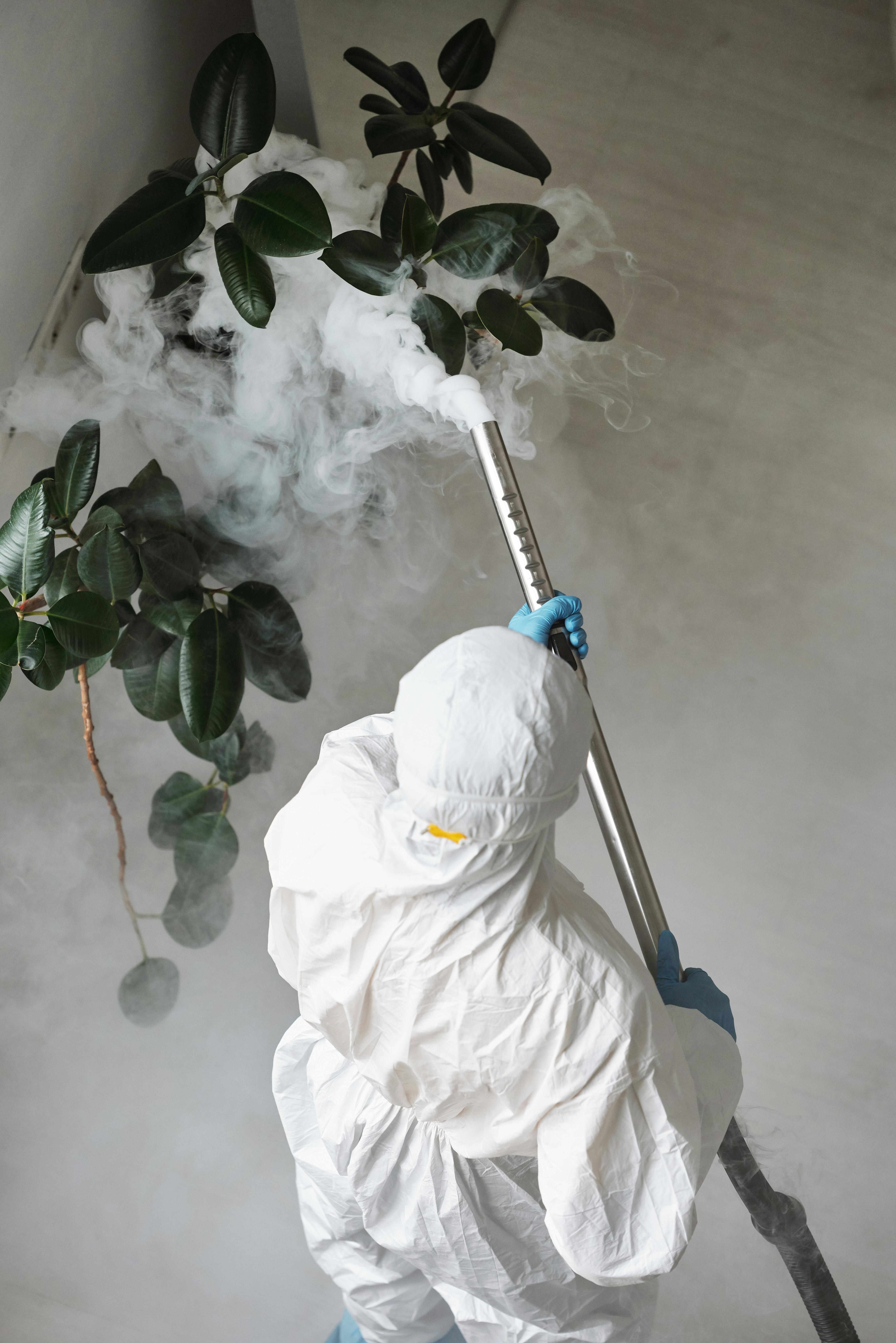 Fumigación en interiores